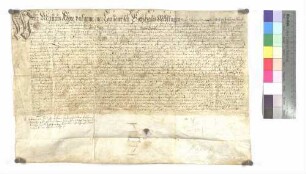 Lehenbrief des Klosters Wiblingen über eine Sölde zu Wiblingen