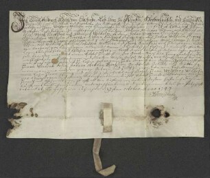 1744 Okt. 27. Lehnsbrief der von Exterde für Kleinsorgen (Grevenmasch).