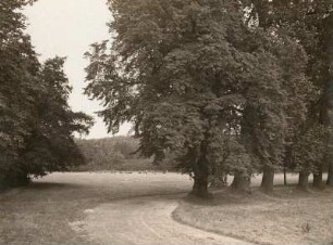 Dahlen. Blick in die Aue des Dahlbaches oberhalb des Schloßparks