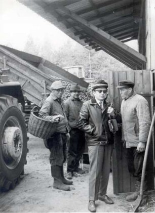 Kartoffelernte in Drehna : Land- und Viehwirtschaft - Hackfruchternte. Ort: Drěnow / Drehna. Bei der Kartoffelernte der Produktionsgenossenschaft