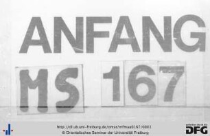 MF Mau 167