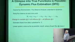 Do True Metabolic Pathway Models Exist?