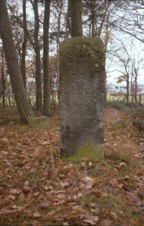 Waldstück westlich Hof Bornbek: Bildstein [Nr. 45, auch trigonometrischer Punkt]