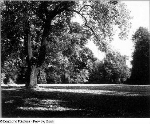 Waldenburg in Sachsen. Schlosspark