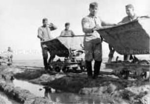 Einsatz des Reichsarbeitsdienstes bei Erdarbeiten mit Loren auf der Hallig Hooge