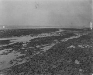 Das Riff bei Ebbe : Blick über das Riff vor dem Hafen von Barneville-Carteret bei Ebbe