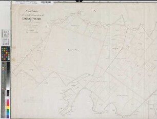Münster, St. Lamberti, (Münster), Teilung der Loddenheide, Reinkarte