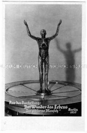 Postkarte zur Ausstellung "Das Wunder des Lebens"