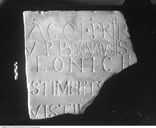Fragment der Grabinschrift eines Klerikers