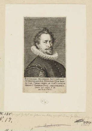 Bildnis Bartholomeus Spranger