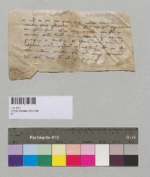 Befehl des Bischofs Bernhard von Passau an alle Mautner am Donauufer und deren Stellvertreter, alle vom Kloster Metten flussauf- oder abwärts geführten Lebensmittel mautfrei zu lassen.;. S: Bischof Bernhard von Passau