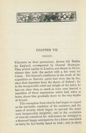 Chapter VII. Flight