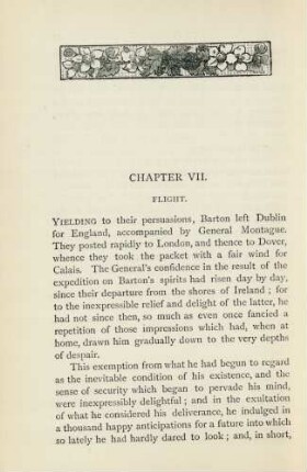Chapter VII. Flight