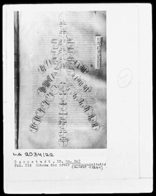 Decretum gratiani glossatum — Schema des Arbor Consanguinitatis, Folio 234recto