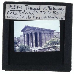 Rom, Tempel der Fortuna Virilis