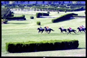 Meran (Südtirol, Italien): Galopp-Hindernis Rennen