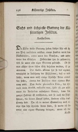 Sechs und sechzigste Gattung der Käferartigen Insekten. Anthribus.