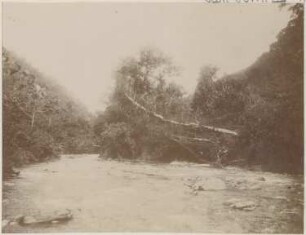 Bilder aus dem bolivianischen Urwald