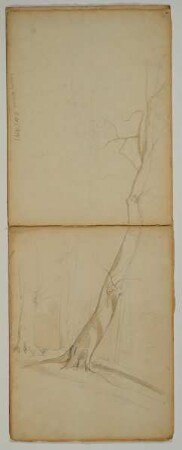 Baumstudie - Waldstudie mit Figur