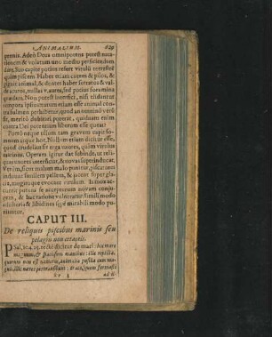 Caput III. De reliquis piscibus marinis seu pelagiis non cetaceis.