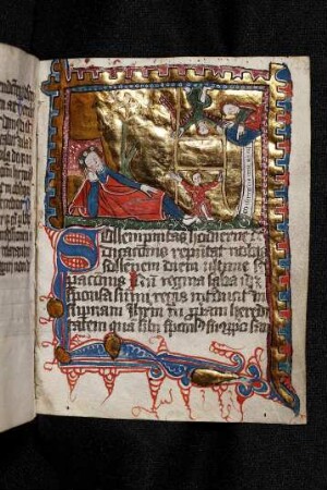 In festo Dedicationis Ecclesiae