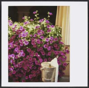Blumen und Kühleimer vor dem Grand Hotel Villa Castagnola in Lugano
