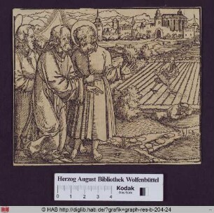 Christus erklärt den Jüngern das Gleichnis vom Unkraut (Matth.13, 36).