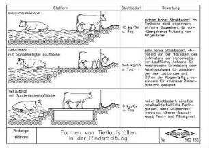 Formen von Tieflaufställen in der Rinderhaltung