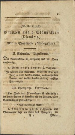 Zweite Classe. Pflanzen mit 2 Staubfäden (Diandria)