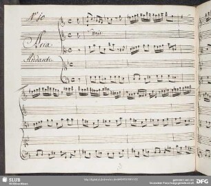 10. Gioacchino Cocchi - Adelaide 