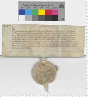 Die 12 Lüneburger Ratsmannen bekunden, dass der Ratsmann Hinrik van der Molen dem Johannes Burmester ½ Fuder Salz aus dem Hause Udinge verkauft hat. [lat.]