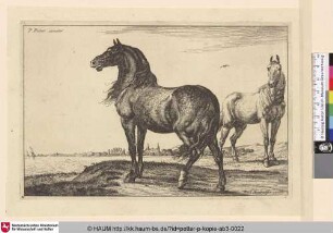 [Das Wiehernde Pferd; The Neighing Horse]