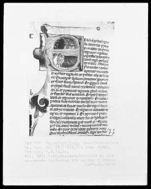 Ms. lat. qu. 25 (III. 1): Lateinische Bibel, folio 309 verso, Macchabäer-Initiale E: der sterbende Antiochus mit seinen drei Söhnen