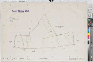 Olfen (Olfen), Umlegung Olfen-Rechede, Planabdruck Flur 34