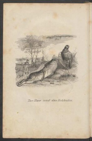 Der Hase und das Rebhuhn.
