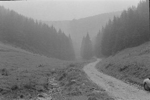 Čičmany. Akt-Pleinair 1980. Waldweg