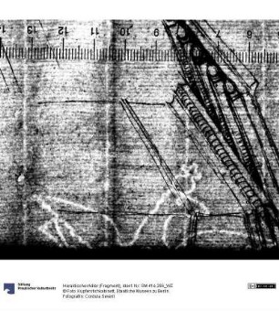 Heraldischer Adler (Fragment)