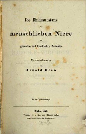 Die Bindesubstanz der menschlichen Niere im gesunden und krankhaften Zustande : Untersuchungen