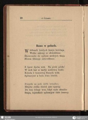 Rano w polach