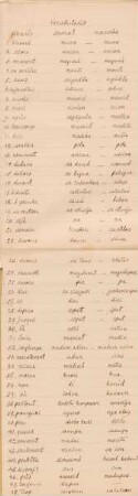 Vocabulario