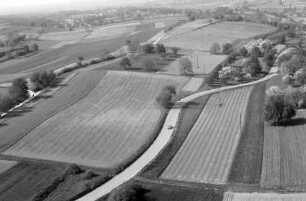 Zunzingen: südlich mit Blüten und Straße [von Müllheim nach Zunzingen]