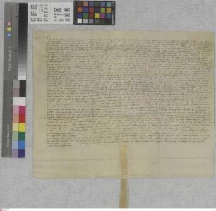 Crumstadt: Revers der Gemeinde Crumstadt über die von dem St. Viktorstift vor Mainz bestandene Weide genannt der Buchtung