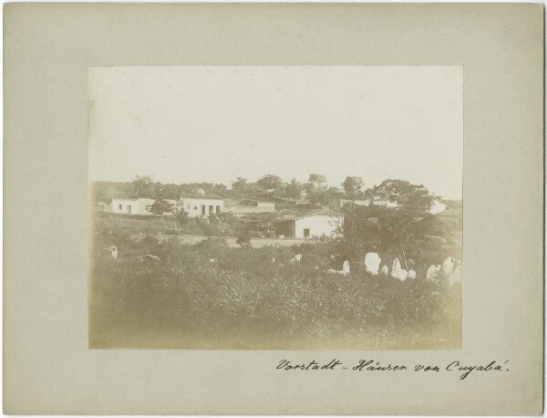 Suburban houses in Cuyabá