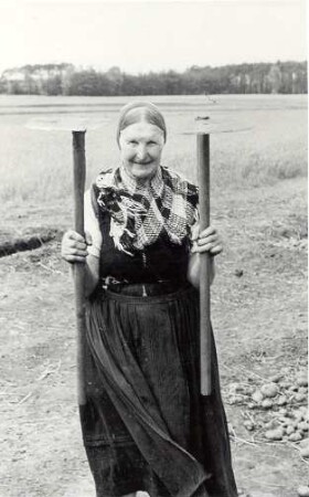Landwirtschaftliches Arbeitsgerät in Sabrodt, Streuhacken : Viehwirtschaft - häusliche Viehwirtschaft. Ort: Zabrod / Sabrodt. Haus Nr. 43. Zwei Streuhacken.