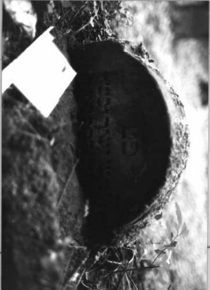 Grabstein 200 (Index: 99803266) Material: Sandstein Zustand: tief eingesunken, Textverlust Maße HxBxT: 29x44x9 cm Beschreibung: Stele mit Rundbogen, profilierter Rand: Grabstein 200