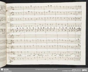 Coro: Della vita nel dubbio cammino