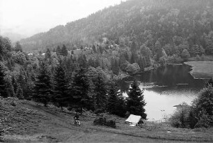 Blick von oben auf den nonnenmattweiher bei Neuenweg