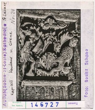Autun: Kathedrale Saint-Lazare, Kapitell, Kentaur und Sirena