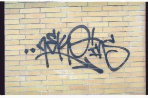 ..nEKO inS