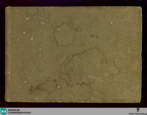 Gli Stravaganti - Don Mus.Ms. 1545